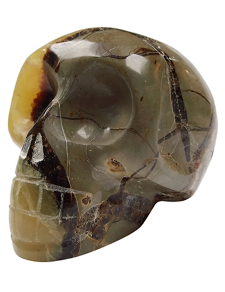Septarie schedel 13 cm - Afbeelding 2