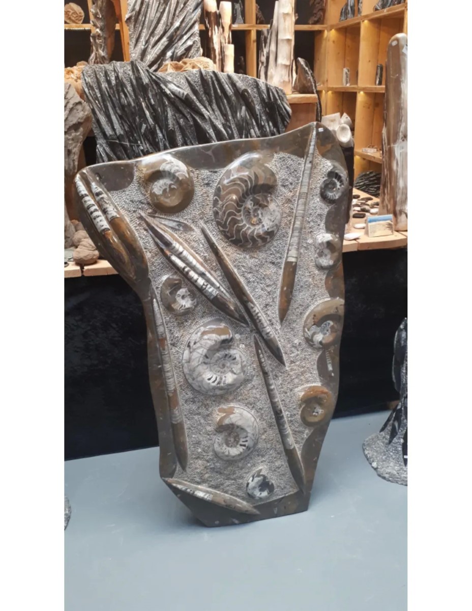 Orthoceras met Ammoniet sculptuur nr.29 - Afbeelding 4