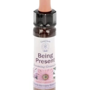 10 ml Being Present - uit Belief Patterns Essences