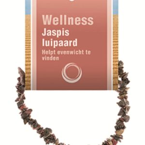 Jaspis luipaard splitarmband + kaart