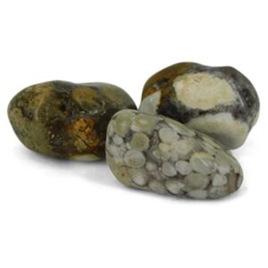 Agaat hersen trommelstenen (mt3)