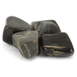 Fossiele steen trommelstenen (mt2-3)