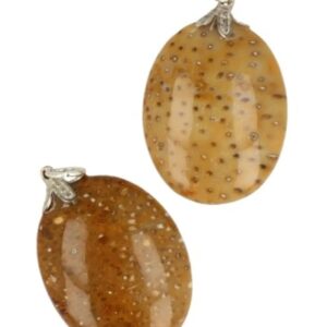 Fossiele palm edelsteen hanger