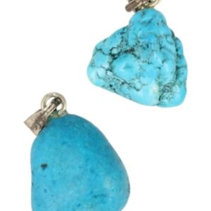 Howliet blauw edelsteen hanger (gekleurd)