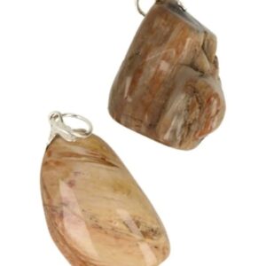 Versteend hout edelsteen hanger