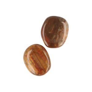 Versteend hout zaksteen