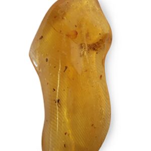Copal, diverse insluitsels, Madagaskar, nr. 160