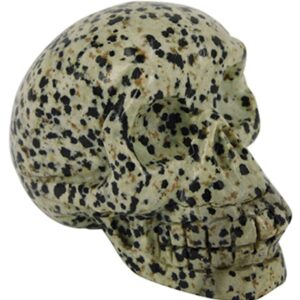 Jaspis dalmatier schedel 70 mm