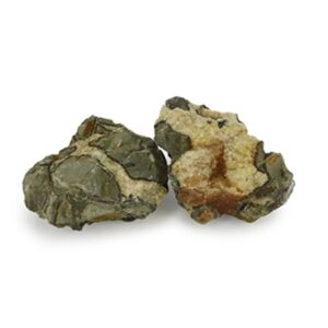 Septarie ruw, Madagaskar, p/kg