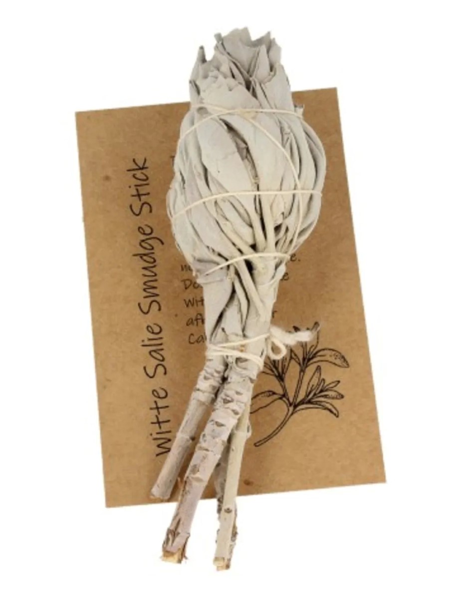 Saliebosje 12 cm - Afbeelding 2