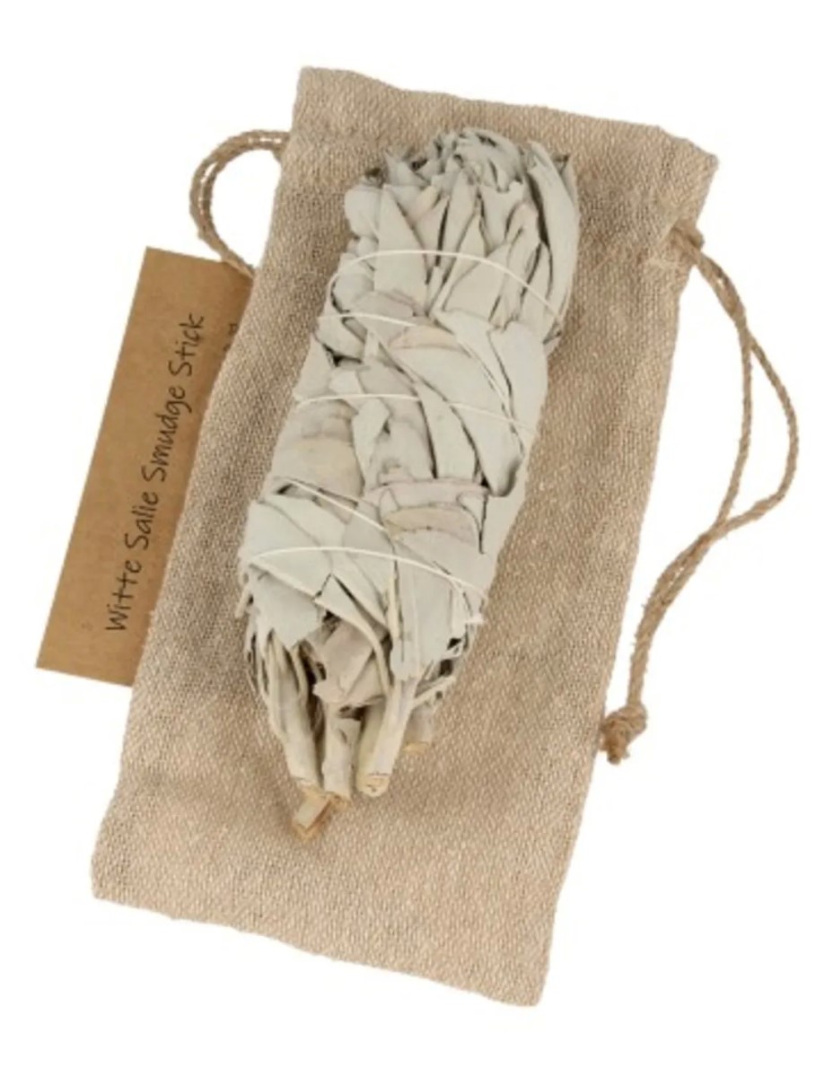 Saliebosje 12 cm - Afbeelding 3