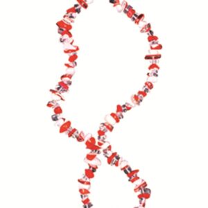 Feyenoord splitketting