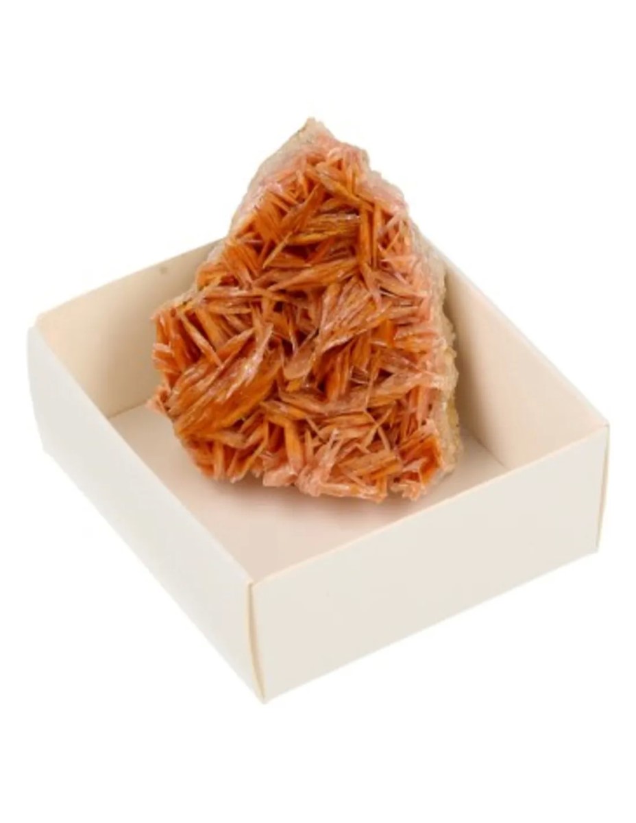 Doosje Bariet roze/oranje