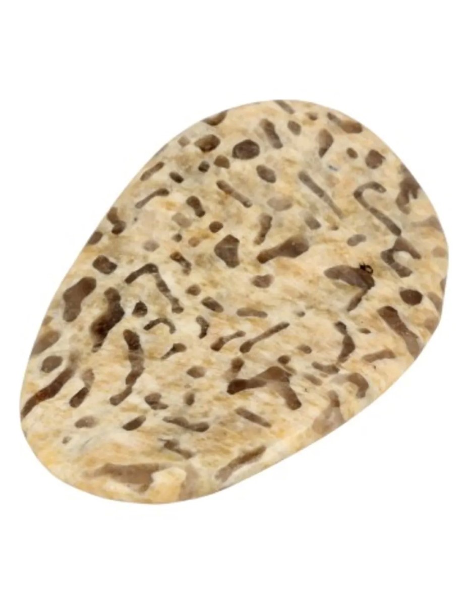 Zebradoriet edelsteen pringle