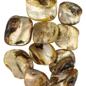 Kralen Parelmoer bruin - 10 st. (bijgekleurd)