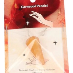 Pendel facet + kaart Carneool