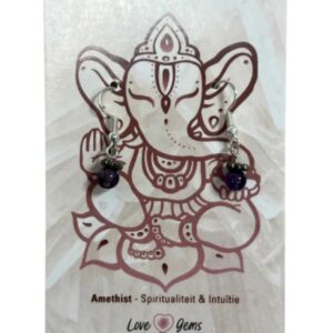 Amethist oorbellen mini bol - Love Gems