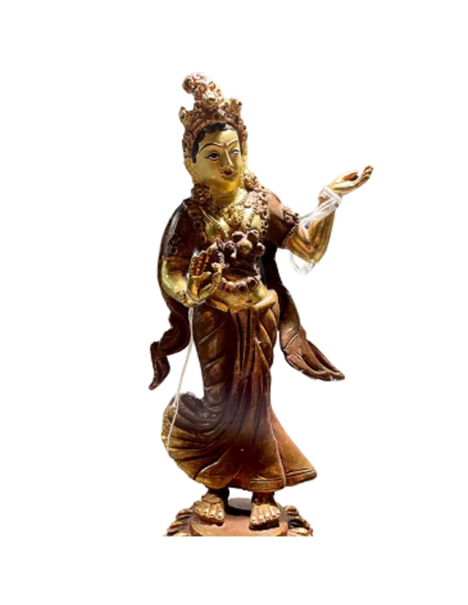 Dancing Tara beeld - Dansend