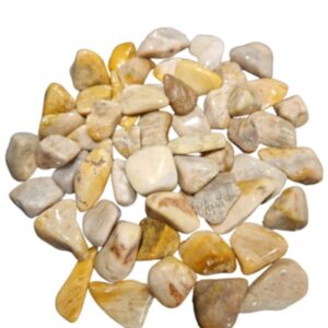 Versteend hout trommelstenen 500 gr. (mt3)