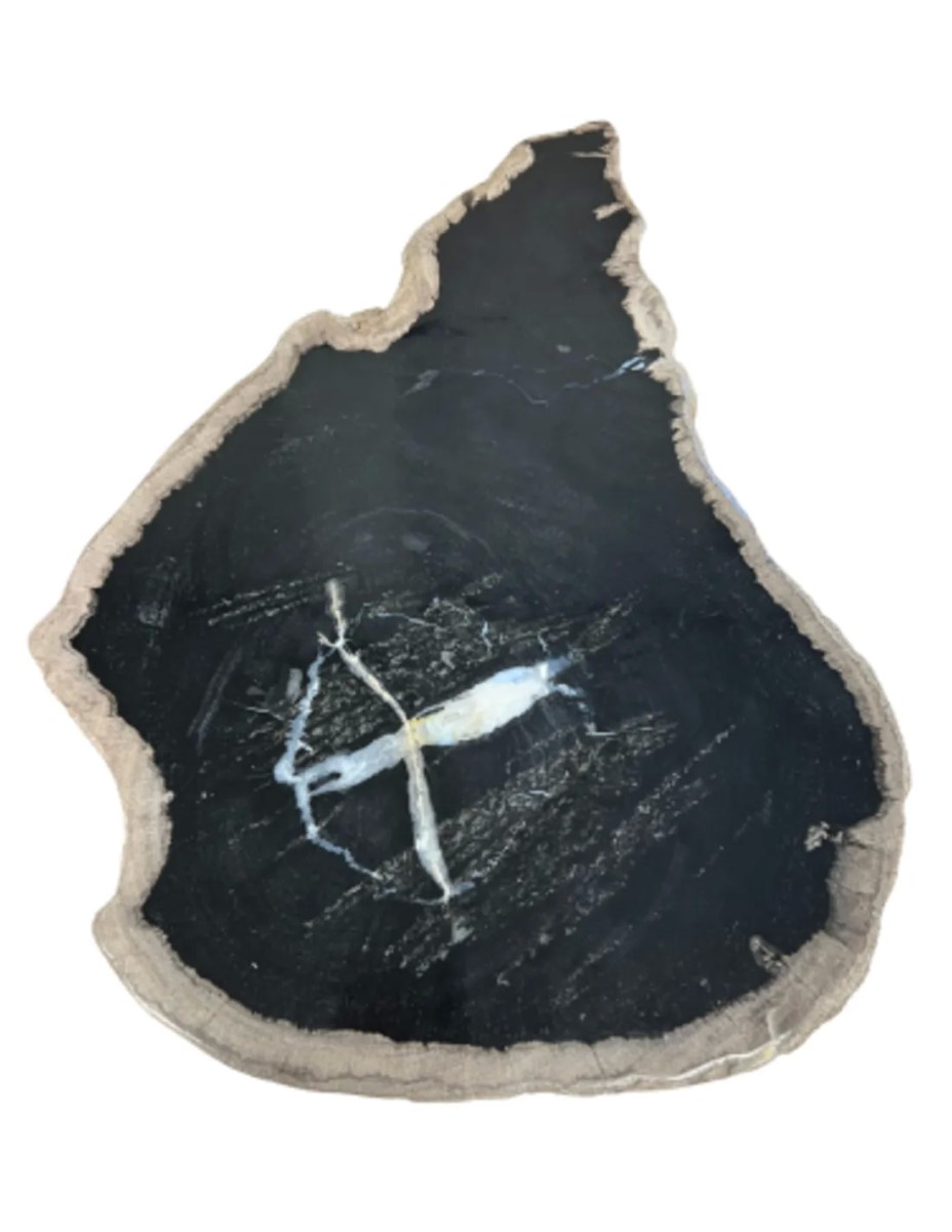 Versteend houten schijf zwart groot nr.02