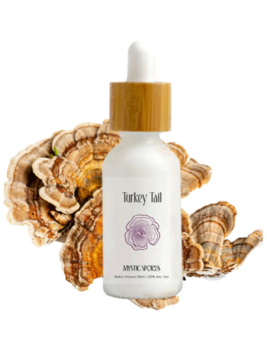 Turkey Tail Mystic Spores - 30ml - Afbeelding 3