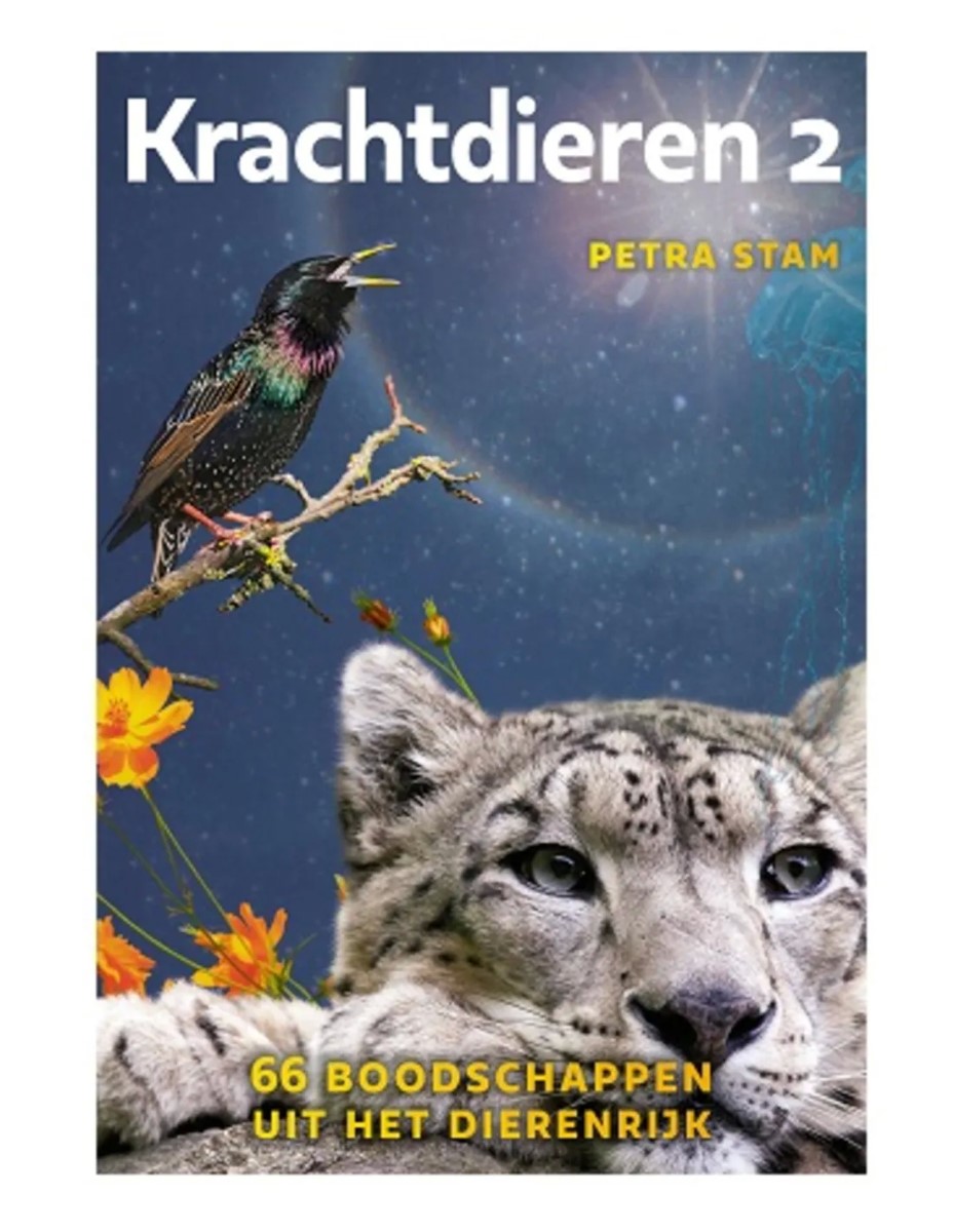 Krachtdieren kaarten set 2 - Afbeelding 2